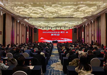 荣耀时刻!KS体育微电荣膺西安民营企业100强